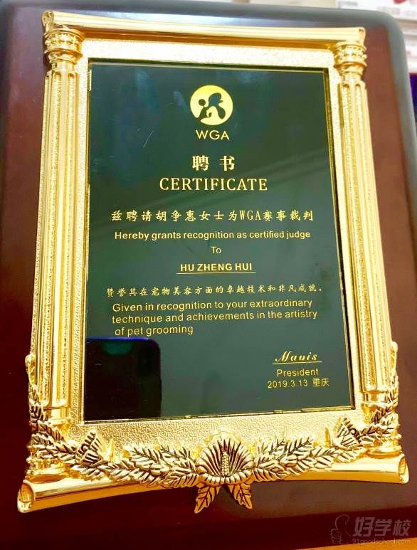 成都宠尚国际宠物美容培训中心 师资荣誉