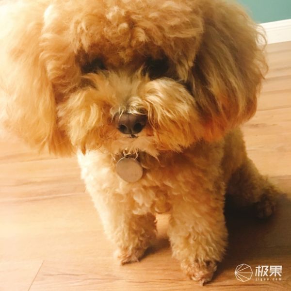 小佩（Petkit）PK9090041N015宠物智能饮水机