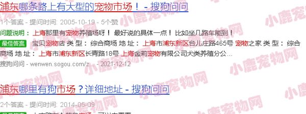 上海浦东新区宠物市场在哪里