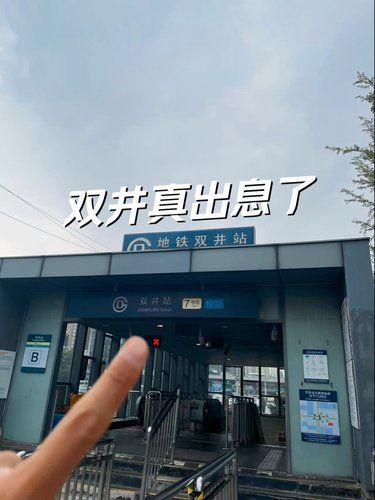 双井真的支棱起来了❗