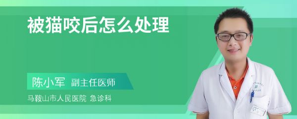 被猫咬后怎么处理