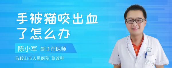 手被猫咬出血了怎么办