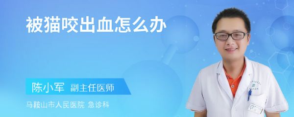 被猫咬出血怎么办