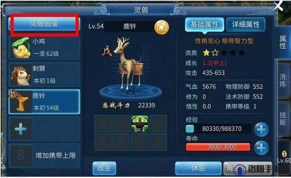 倩女幽魂手游灵兽基础教学:从入门到精通
