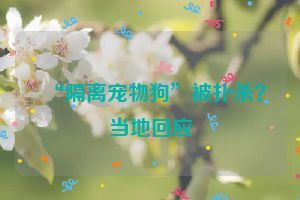 “隔离宠物狗”被扑杀？当地回应