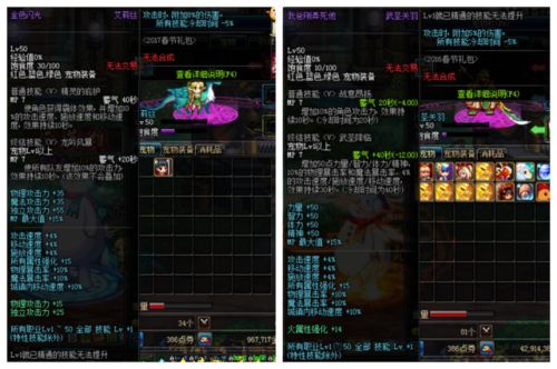 dnf2017年春节套宠物属性-DNF春节宠物 第2张