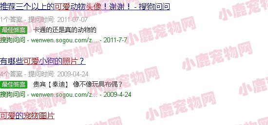 微信头像宠物图片大全 可爱