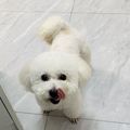 https://p0.meituan.net/userheadpicbackend/893c7e7e4d8c81839ab5f0928555080f326124.jpg%40120w_120h_1e_1c_1l%7Cwatermark%3D0