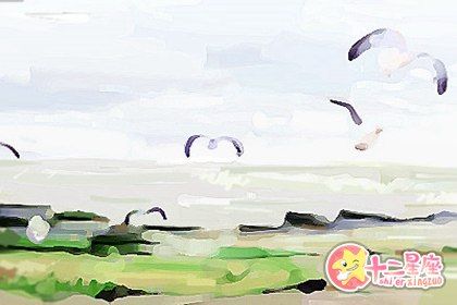 宠物名字大全