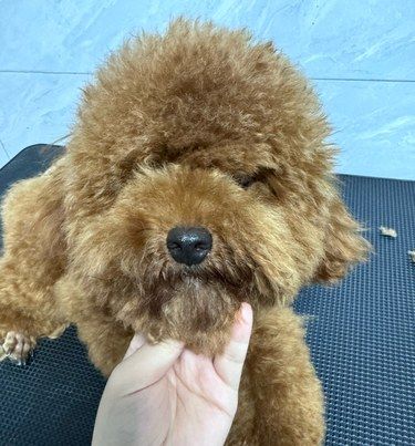 这和没有剪 有什么区别