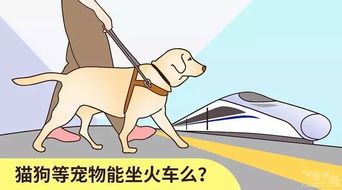 宠物乘坐火车有哪些限制？揭秘火车带宠出行攻略！
