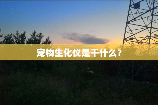 宠物生化仪是干什么？