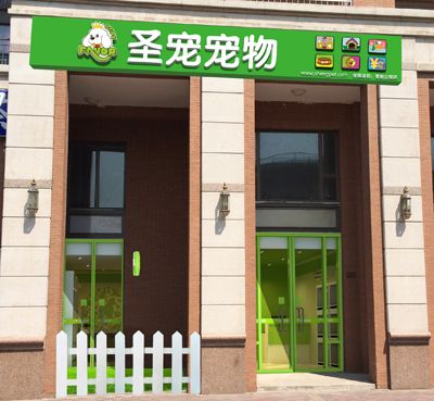 圣宠宠物