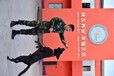 陜西宠物训练中心-宝鸡训犬学校哪家专业-派多格寄训中心