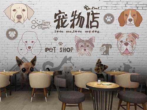 加盟斯佩恩宠物需要哪些条件？诚信经营是斯佩恩宠物发展的根本