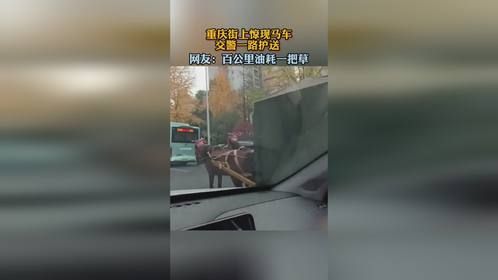 重庆街上惊现马车 交警一路护送，百公里油耗一把草
