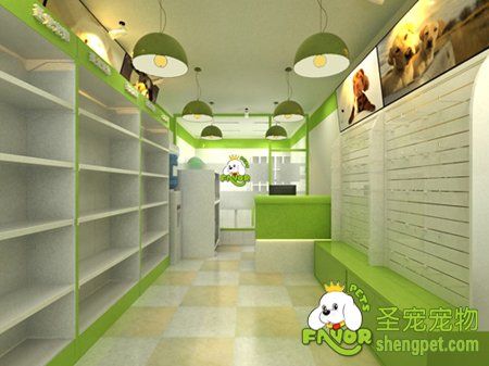 宠物美容店