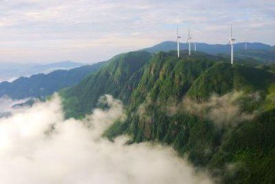 四川达古冰川第一次发现荒漠猫系中国特有物种
