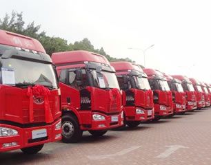 2021宠物托运绍兴宠物托运 24小时上门取件24小时上门取件