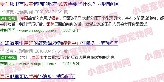 贵阳宠物狗免费领养中心
