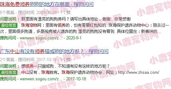 中山珠海宠物免费领养中心