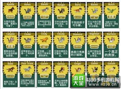 98个宠物