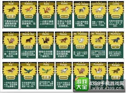 宠物品种