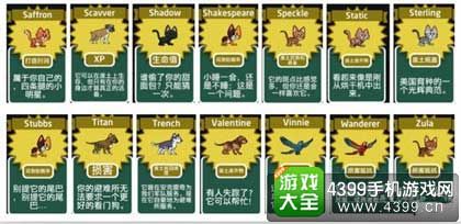 宠物属性