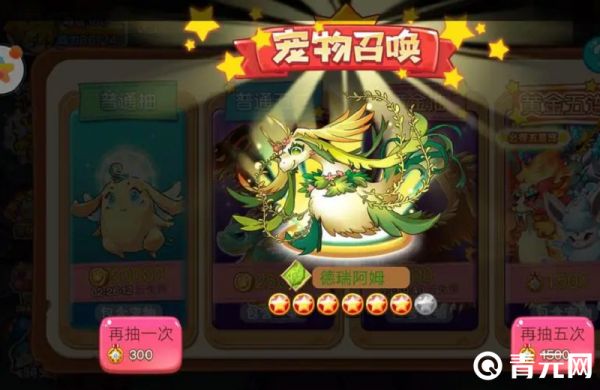 宠物王国中的宠物