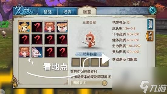 诛仙怎么抓宠物宝宝（诛仙手游捕捉宠物步骤解析）