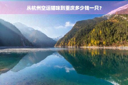 从杭州空运猫咪到重庆多少钱一只？