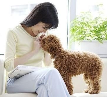 养宠物对住宅风水有啥影响 住宅梦物语阳台解锁