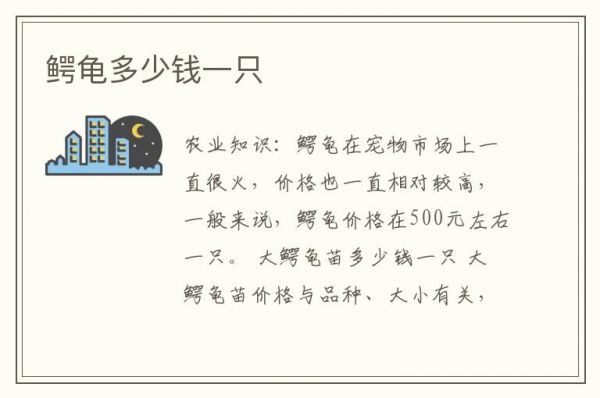 鳄龟多少钱一只