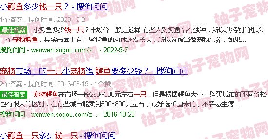 宠物鳄鱼10钱一只