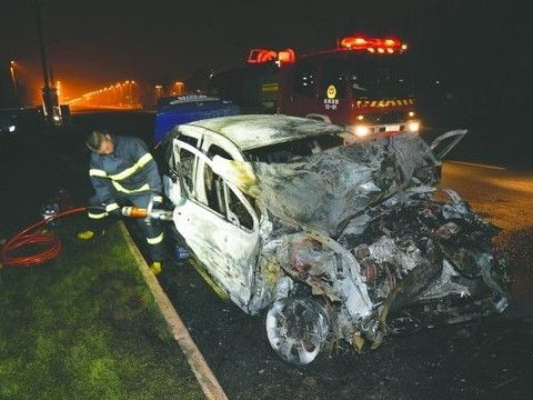 梦见宠物狗被车撞死