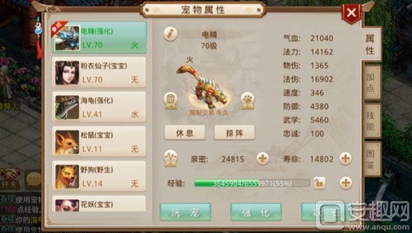 宠物其他属性