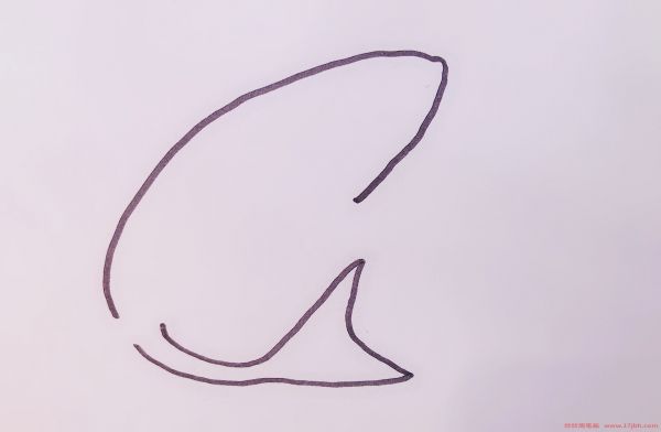 鲨鱼的简笔画