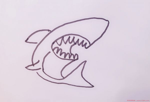 鲨鱼的简笔画
