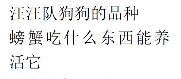 宠物鲨鱼多少钱一只（宠物店猫）