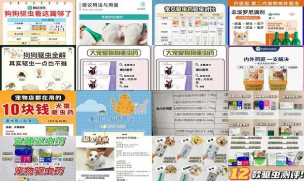 宠物驱虫多少钱?
