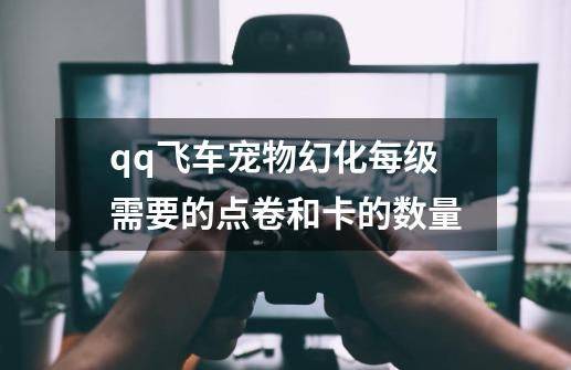 qq飞车宠物幻化每级需要的点卷和卡的数量-第1张-游戏信息-云推网