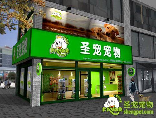 怎样开好一个宠物店