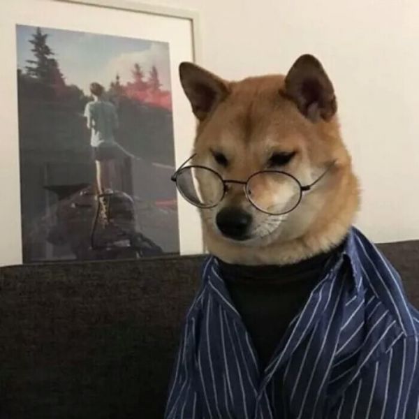 猫狗脸红的情侣头像