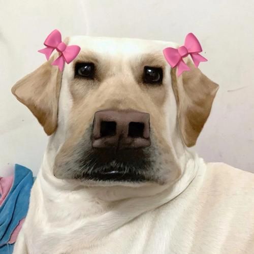 3833363330|情侣头像第一弹