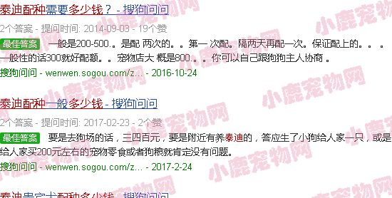 给泰迪配种多少钱