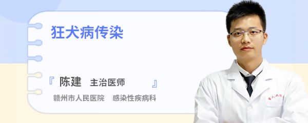 狂犬病传染