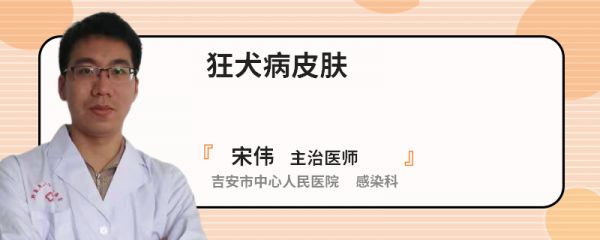 狂犬病皮肤