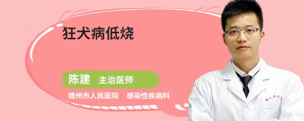 狂犬病低烧