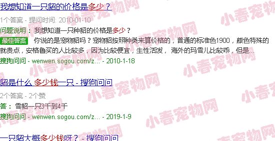 貂值多少钱一只