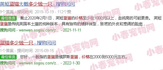 蓝猫图片及价格多少钱一只